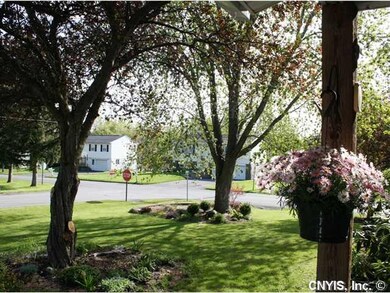 Yard/Garden