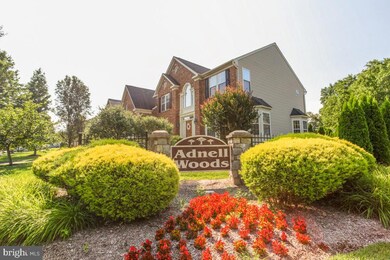 13005 3rd St, Bowie, MD 20720 - photo 3