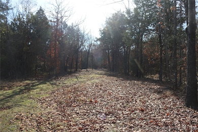 0 Poteau Mountain Rd, Monroe, OK 74947 - photo 6