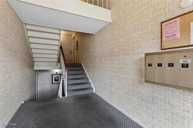 1105 Canyon View Rd unit 305, Northfield, OH 44067 - photo 3