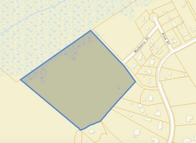 TBD Mulberry St, Conway, SC 29527 - photo 5