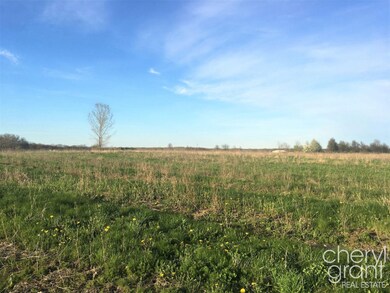 Views