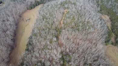 TBD Hickory Dr, Pounding Mill, VA 24637 - photo 2