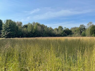 0000 Reynoldsburg Rd, Springville, TN 38256 - photo 4