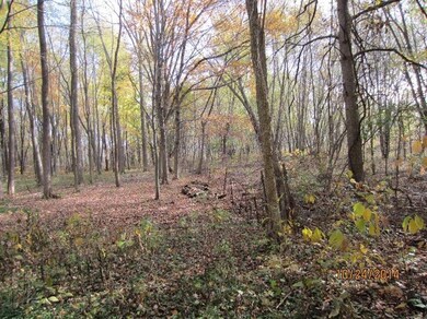 5001 N 325 W, La Porte, IN 46350 - photo 5