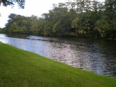 Tranquil View of the Lake