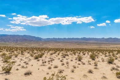 67800 Raymond Dr, Twentynine Palms, CA 92277 - photo 5