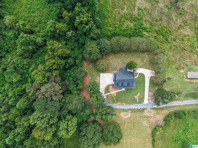 89 Lakeshore Dr, Remlap, AL 35133 - photo 2