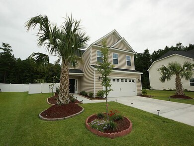 Bald Cypress Front 1