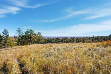 Lot17D W Minnesota St, Rapid City, SD 57701 - photo 2