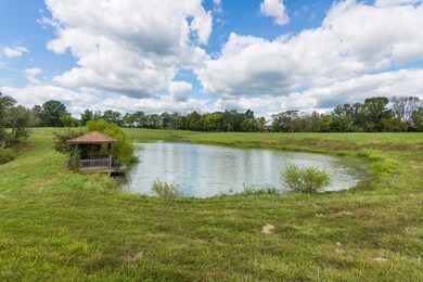 281 Old Ashes Creek Rd, Bloomfield, KY 40008 - photo 6