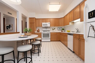 1325 Perry St unit 401, Des Plaines, IL 60016 - photo 3