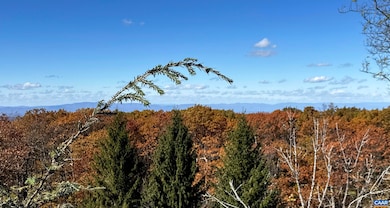 15 Shenandoah Ridge Ct, Wintergreen Resort, VA 22967 - photo 6