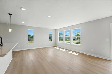 1321 S 4th E, Louisburg, KS 66053 - photo 6