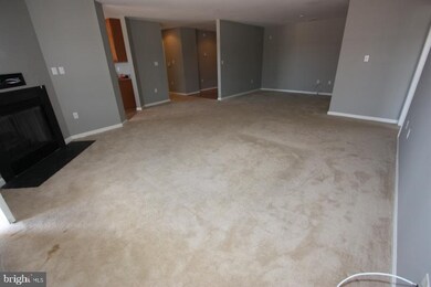 9500 Side Brook Rd unit 407, Owings Mills, MD 21117 - photo 5