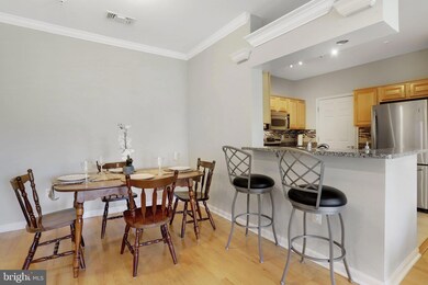 4550 Strutfield Ln unit 2211, Alexandria, VA 22311 - photo 5