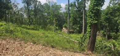 Lot 7 Restore Ridge, Harrison, AR 72601 - photo 6