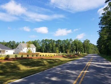 1007 Flounder Run, New Bern, NC 28562 - photo 4