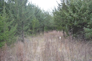 0000 Q Rd, Hoyt, KS 66440 - photo 3