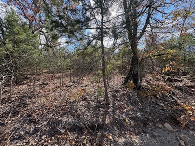 27 Thelma Rd, Eufaula, OK 74432 - photo 5