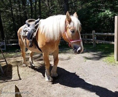 Lot 254 Deer Run E, Lehman Township, PA 18328 - photo 5