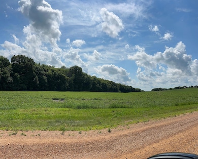 XX TBD Mellgren Ln, Chaska, MN 55318 - photo 5