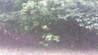 0 Mike's Cir unit 17016180, Heber Springs, AR 72543 - photo 4