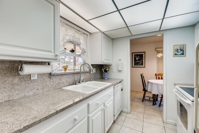 9710 W TEAKWOOD DR Sun City AZ-large-008