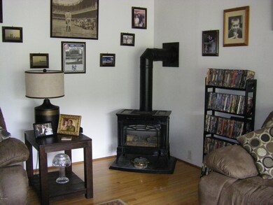 Gas Fireplace in Living Room