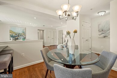 4113 S Four Mile Run Dr unit 203, Arlington, VA 22204 - photo 5