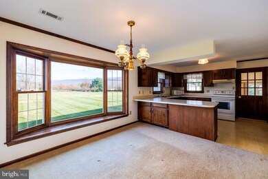 397 Highview Rd, New Market, VA 22844 - photo 7