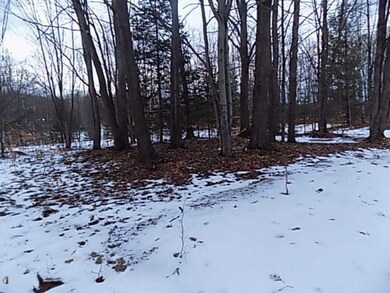 77 Fence Row Cir, Leroy, MI 49655 - photo 5