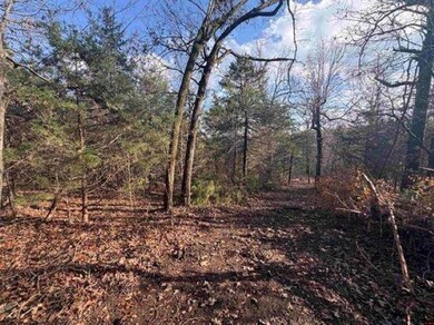 Tract B Arkansas 101, Gamaliel, AR 72537 - photo 7