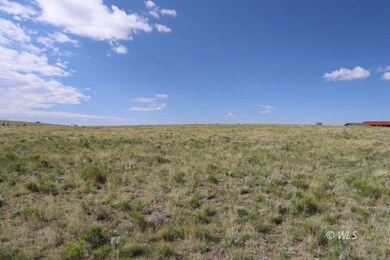 4970 Centennial Ranch, Westcliffe, CO 81252 - photo 6