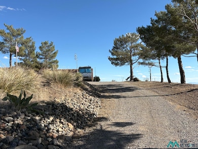 521 E Trailing Heart Dr, Silver City, NM 88061 - photo 5