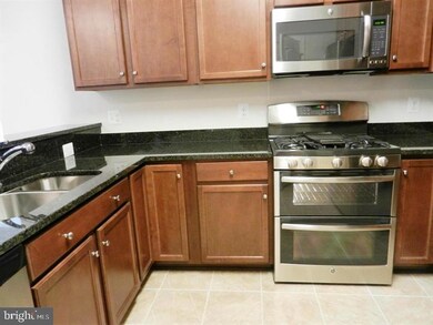 24636 Woolly Mammoth Terrace unit 303, Aldie, VA 20105 - photo 3