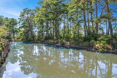 8051 Mire Pond 1, Chincoteague, VA 23336 - photo 4