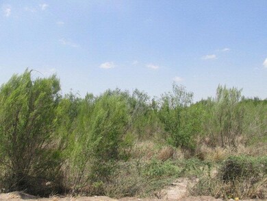 TBD N Goolie Rd, Donna, TX 78537 - photo 2