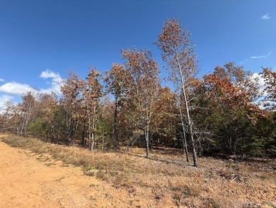 17 Summer Tyme Dr, Greenbrier, AR 72058 - photo 3