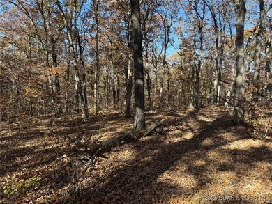 54 Acres Whitetail Way, Cole Township, MO 65338 - photo 4