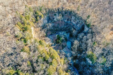 798 Red Tuttle Rd, Bethpage, TN 37022 - photo 7