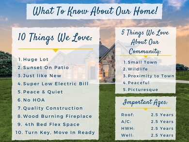 9669 Old Agnes Rd, Springtown, TX 76082 - photo 6