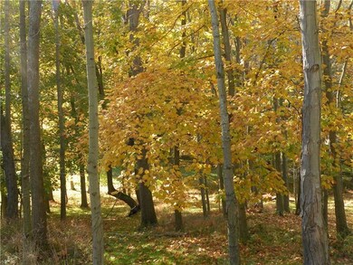 239 Sienna Trail