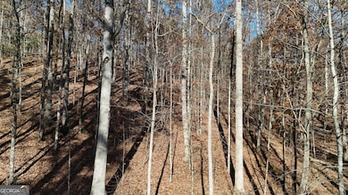 LOT 198 N Shore Dr, Cleveland, GA 30528 - photo 5