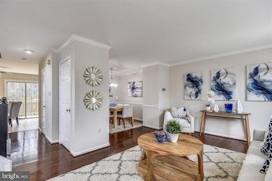 11942 Sentinel Point Ct, Reston, VA 20191 - photo 3