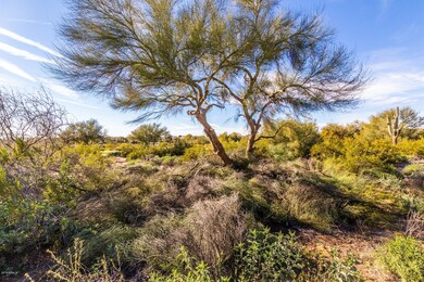 0025-Grayhawk (25)