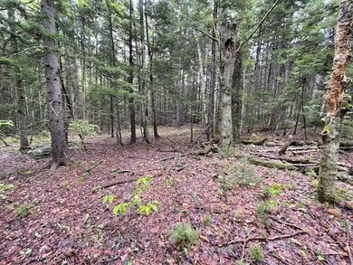 0 Honeycomb Hill, Marlboro, VT 05301 - photo 6