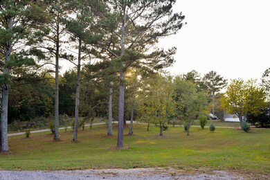 288 Beatrice Ct NE, Ranger, GA 30734 - photo 6