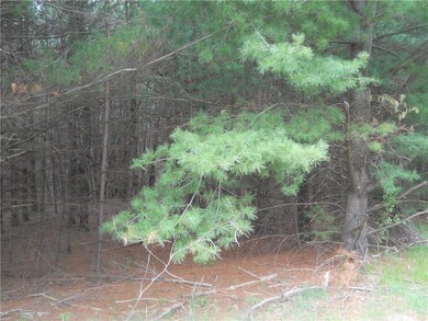 0 25 1 16 St, Chetek, WI 54728 - photo 4