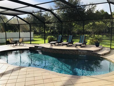 11707 Newberry Grove Loop, Riverview, FL 33579 - photo 5